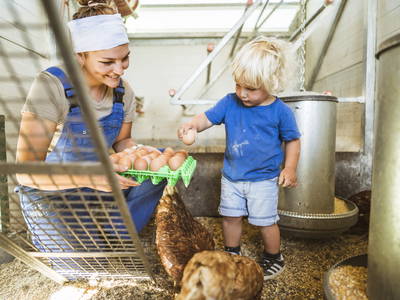 Bild 7 aus  LandSelection Moierhof am Chiemsee - Ferienhof des Jahres