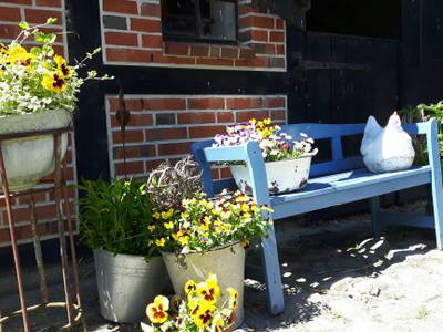 Bild 15 aus  Ferienhof Nielson