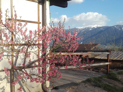 Bild 5 aus  Unterschöpferhof