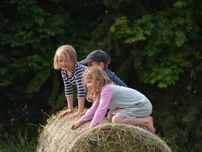 Bild 29 aus  Ferienhof Gröne