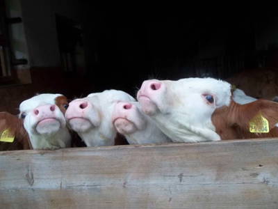 Unser neugieriger Nachwuchs