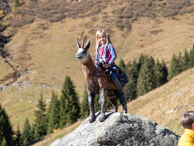 Bild 38 aus  Ferienwohnungen Perfeldhof