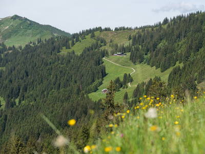 Bild 26 aus  Alpenrösle Ferienwohnungen