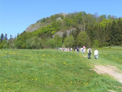 Bild 12 aus  Rhöner Haflingerhof