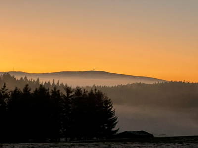 Bild 10 aus  Schelterhof