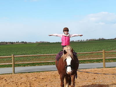 Bild 10 aus  Freizeit- und Ferienreiterhof Odenwald