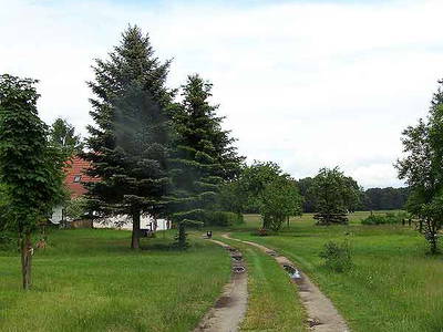 Bild 5 aus  Pferde- und Freizeithof Koplin