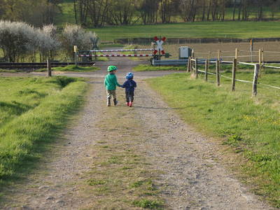 Bild 25 aus  Ferienhof Zinn