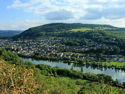 Bild 6 aus  Weingut & Gästehaus GiwerGreif