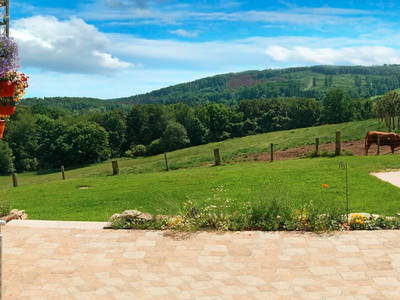 Bild 6 aus  Gripshof