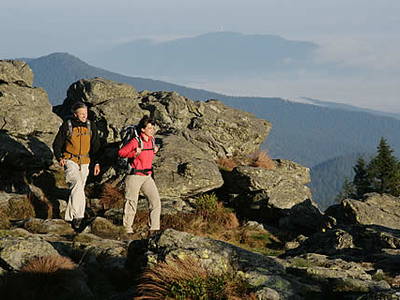 Bild 26 aus  natürlich urlauben - Bauernhof Gründinger