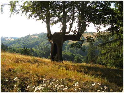 Bild 20 aus  Casa Vale