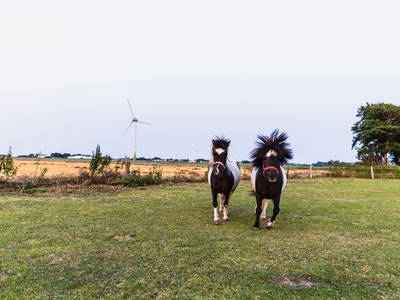 Bild 11 aus  Ferienhof Nordseeblick ****