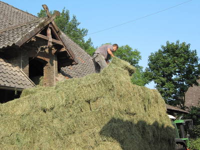 Bild 13 aus  Ferienhof Knoop