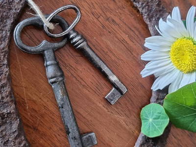 Bild 6 aus  Heeser Hof – Urlaub im Grünen