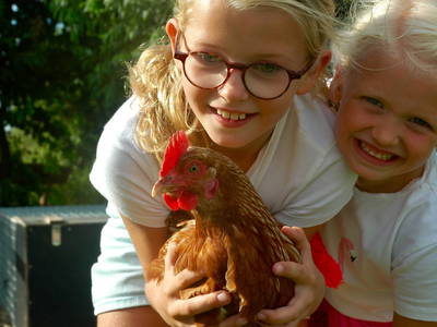Kinder im Kontakt mit Hühnern