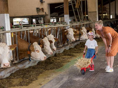 Bild 24 aus  An Webers Stoag