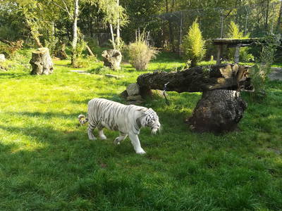 Bild 39 aus  Ferienhof Wegmann