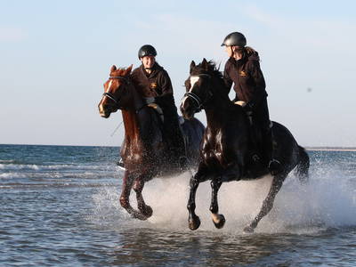 Bild 4 aus  Bernsteinreiter Hirschburg