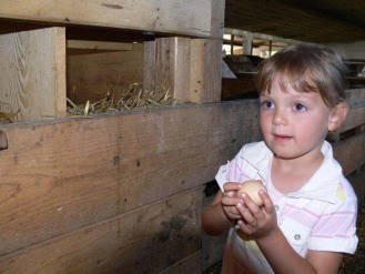 Bild 120 aus  Allgäu Bergferienhof