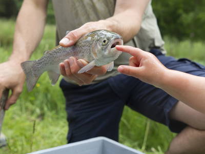 Bild 48 aus  LandSelection Gut Grasleiten