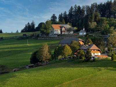 Bild 11 aus  Rotenhof - ein Hof mit Weitblick