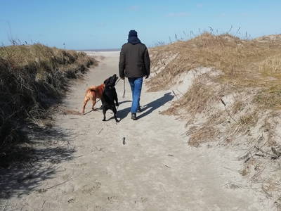 Bild 26 aus  Ferienhof Hasseler