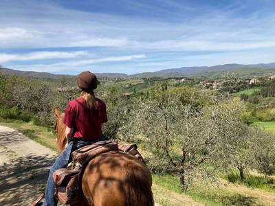 Bild 30 aus  Casa Bivignano