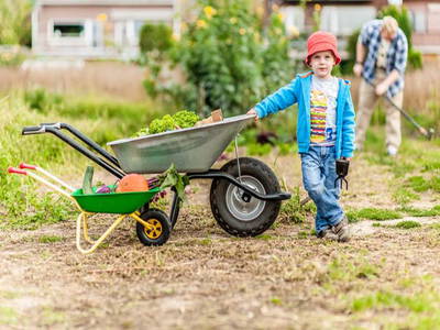 Bild 2 aus  Hof Rose