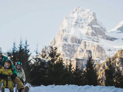 Bild 31 aus  Nature House