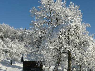 Bild 5 aus  Der Adlerhof
