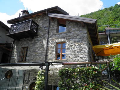 Bild 4 aus  Casarina