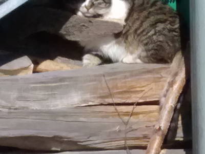 Bild 14 aus  Ferienhof Sönnecken