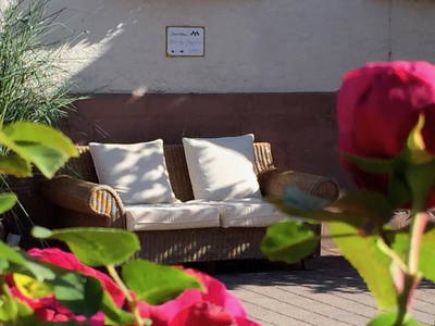 Bild 10 aus  Reiterhof Obere Mühle