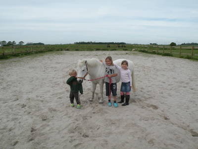 Bild 33 aus  Hof Sassen