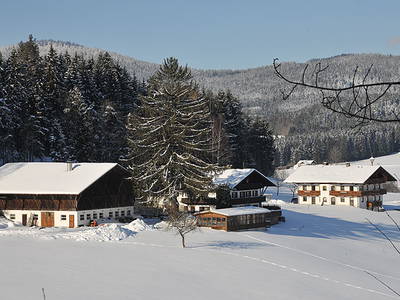 Bild 8 aus  Hienhardter Hof