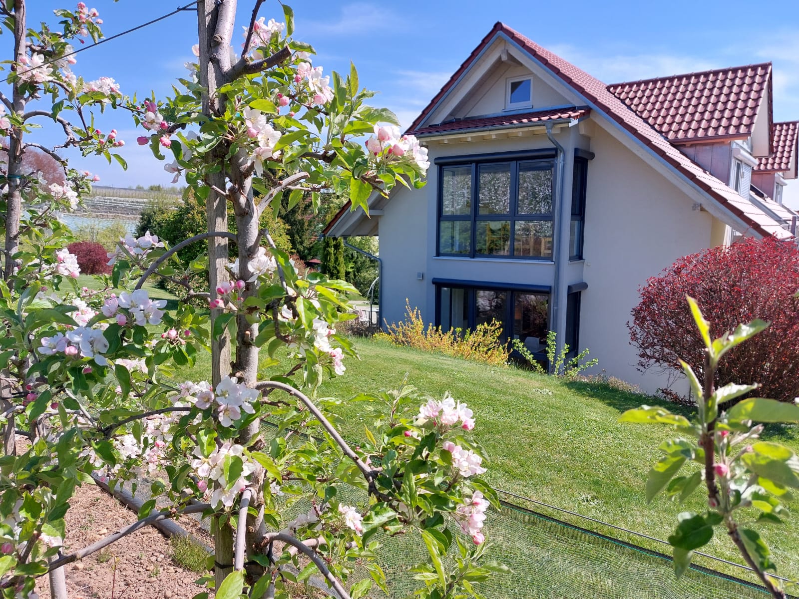 Obst- und Ferienhof - Familie Weishaupt-Steffelin