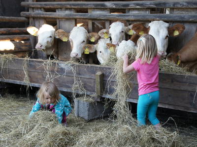 Bild 8 aus  Frankhof