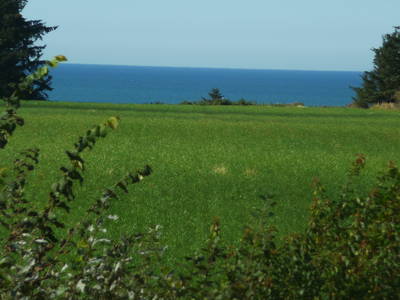 Bild 6 aus  Klitgaarden