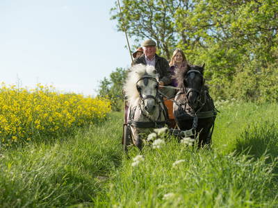 Bild 2 aus  Hof Thomsen