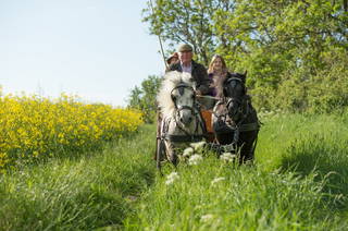 Hof Thomsen aus Groß Kordshagen