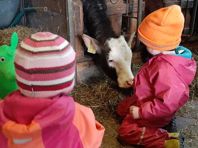 Bild 12 aus  Fuchsbauernhof