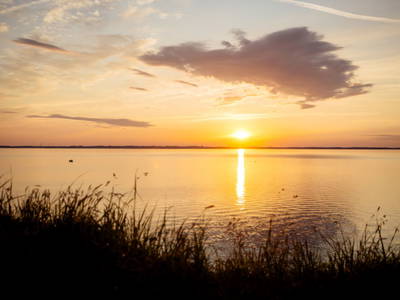 Bild 25 aus  Gut Hohenhain