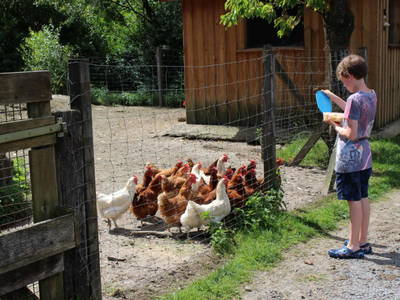 Bild 9 aus  Ferienbauernhof Voß