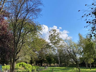 Bild 17 aus  Ferienwohnung am Conradhof