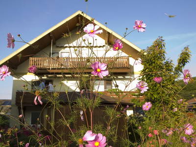 Bild 2 aus  Ökologisches Wein- und Sektgut