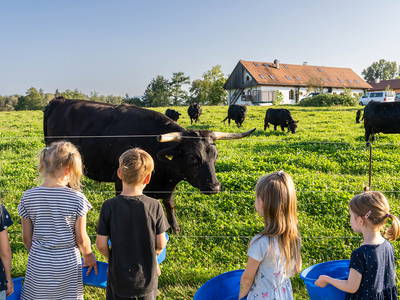 Bild 8 aus  LandSelection Hagerhof