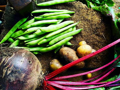 Gemüse aus dem Garten