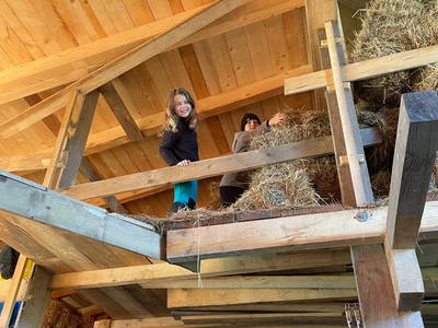 Bild 28 aus  Steigerwälder Zwergenhof ihr kleiner Kinder-Bauernhof für Familien- und Gruppenurlaube