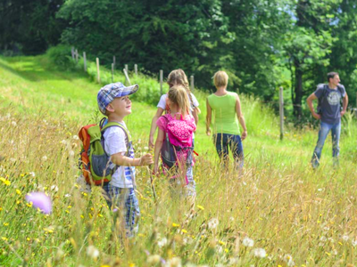 Bild 11 aus  Feriendorf Felsenhof